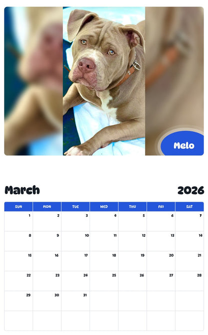 November 2025 - October 2026 Melo - Pawidols Pet Calendar