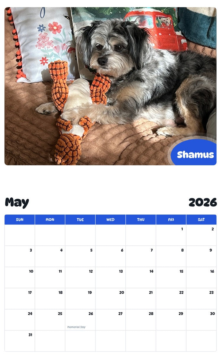 2026 - 2027 Shamus - Pawidols Pet Calendar