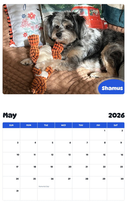 2026 - 2027 Shamus - Pawidols Pet Calendar