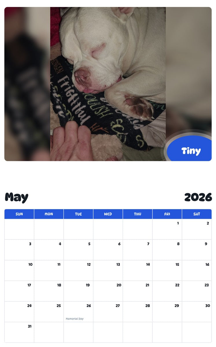 2026 - 2027 Tiny - Pawidols Pet Calendar