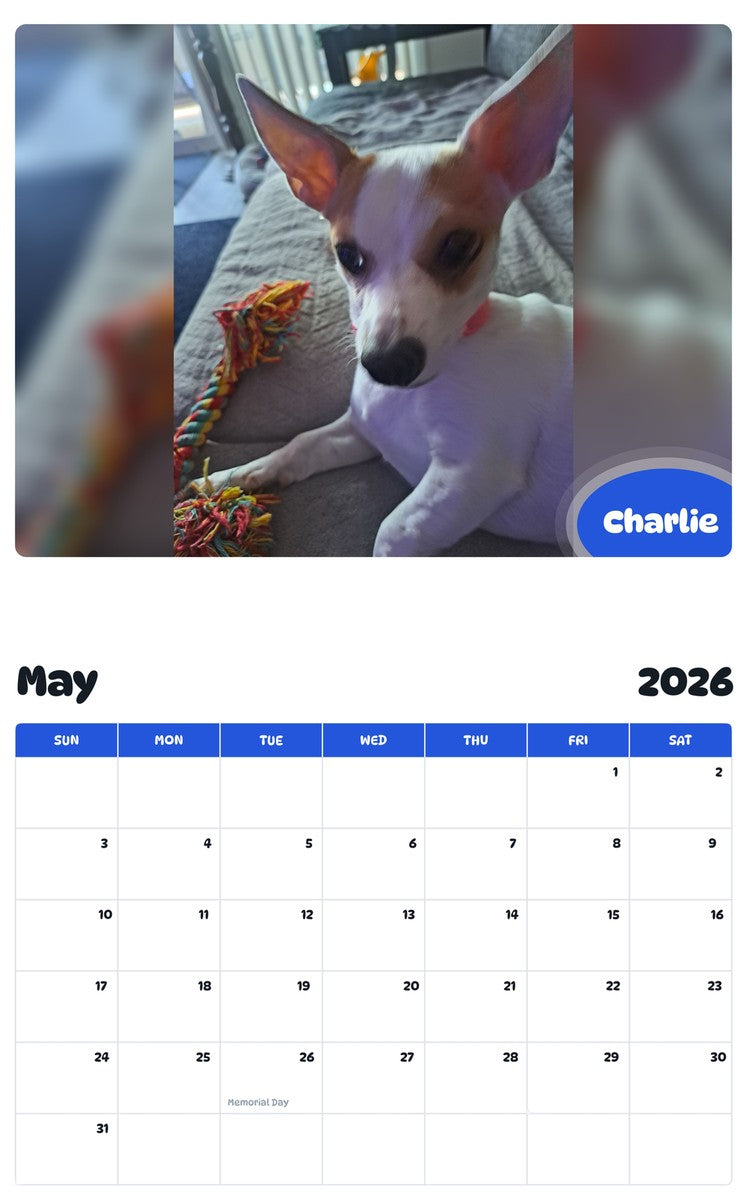 2026 - 2027 Charlie - Pawidols Pet Calendar