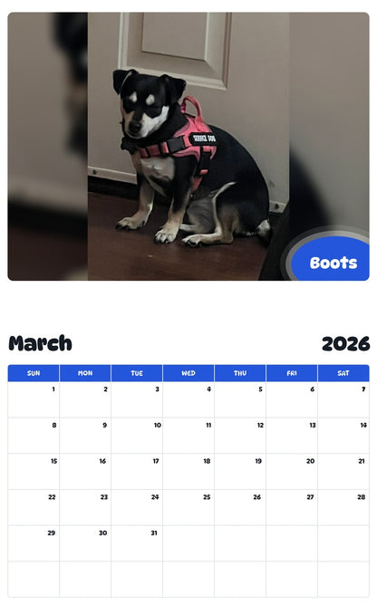 November 2025 - October 2026 Boots - Pawidols Pet Calendar