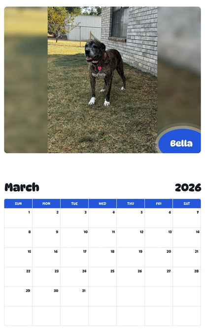 November 2025 - October 2026 Bella - Pawidols Pet Calendar
