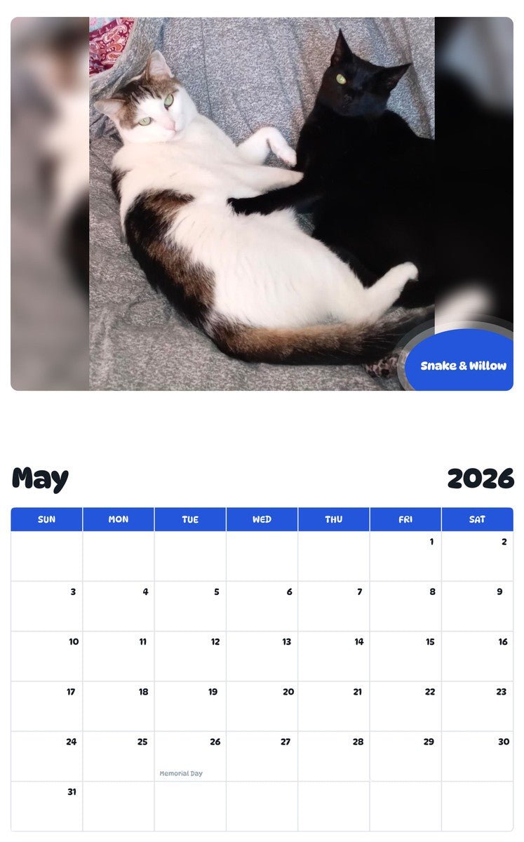 2026 - 2027 Snake & Willow - Pawidols Pet Calendar