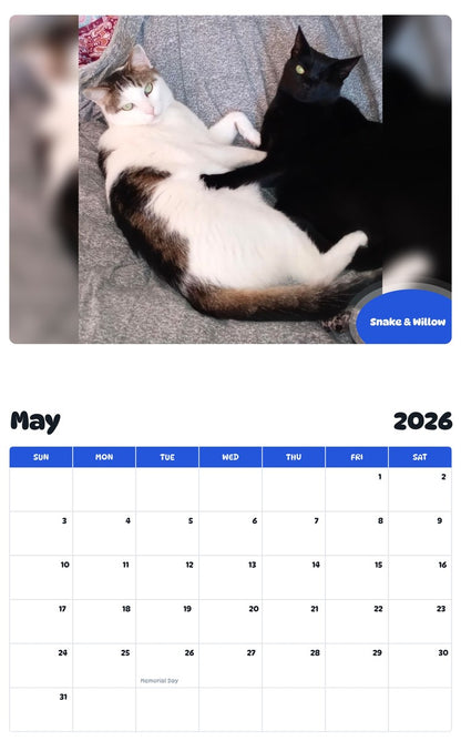 2026 - 2027 Snake & Willow - Pawidols Pet Calendar