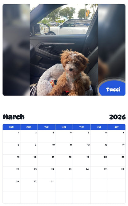 November 2025 - October 2026 Tucci - Pawidols Pet Calendar