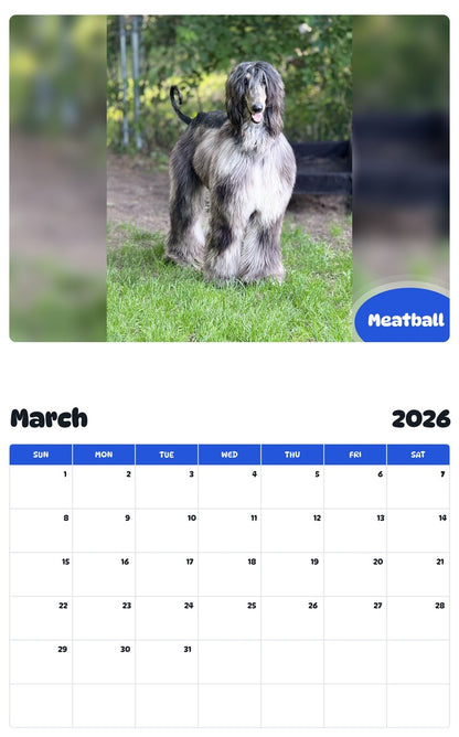 November 2025 - October 2026 Meatball - Pawidols Pet Calendar
