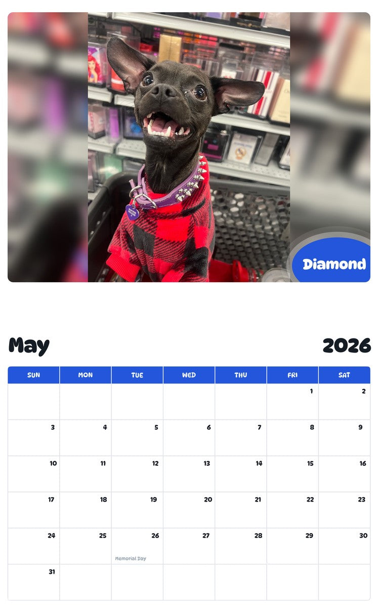 2026 - 2027 Diamond - Pawidols Pet Calendar