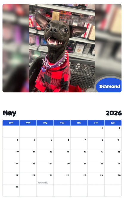 2026 - 2027 Diamond - Pawidols Pet Calendar