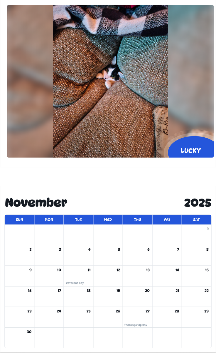 July 2025 - June 2026 Lucky - Pawidols Pet Calendar