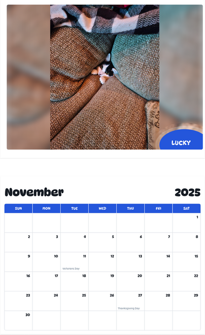 July 2025 - June 2026 Lucky - Pawidols Pet Calendar