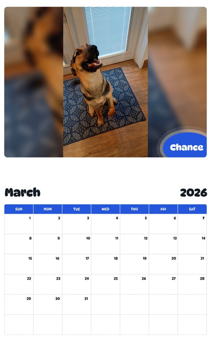 November 2025 - October 2026 Chance - Pawidols Pet Calendar