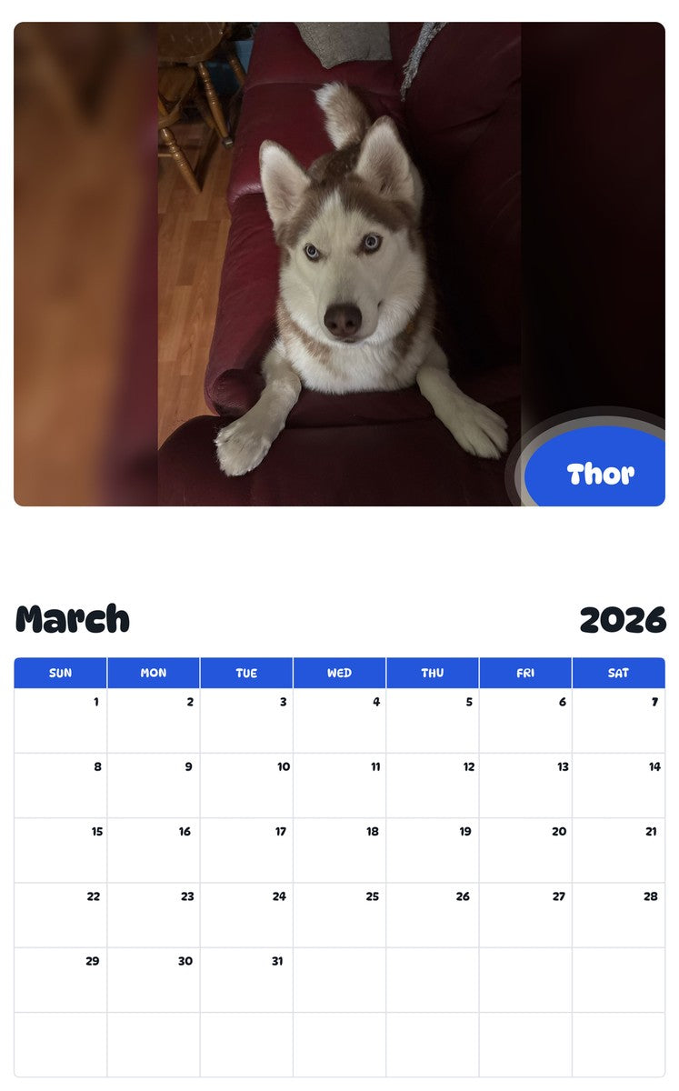 November 2025 - October 2026 Thor - Pawidols Pet Calendar