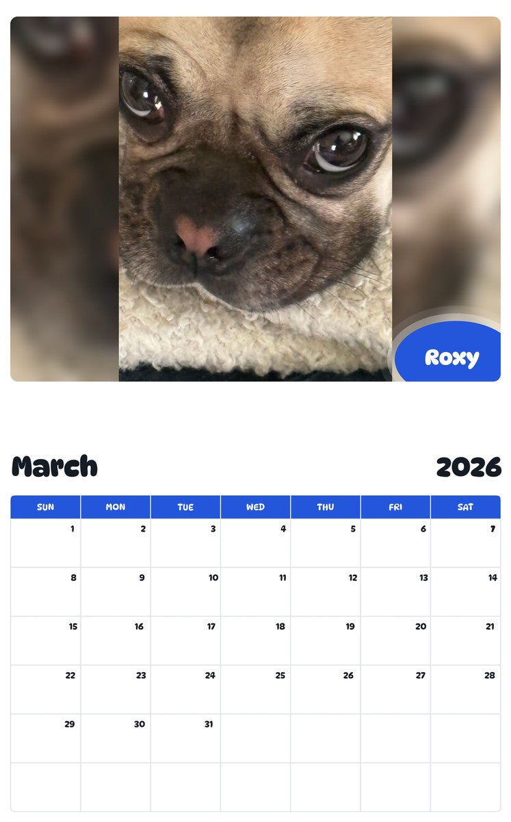 November 2025 - October 2026 Roxy - Pawidols Pet Calendar