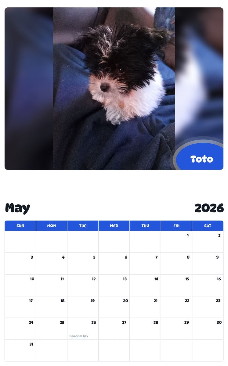 2026 - 2027 Toto - Pawidols Pet Calendar