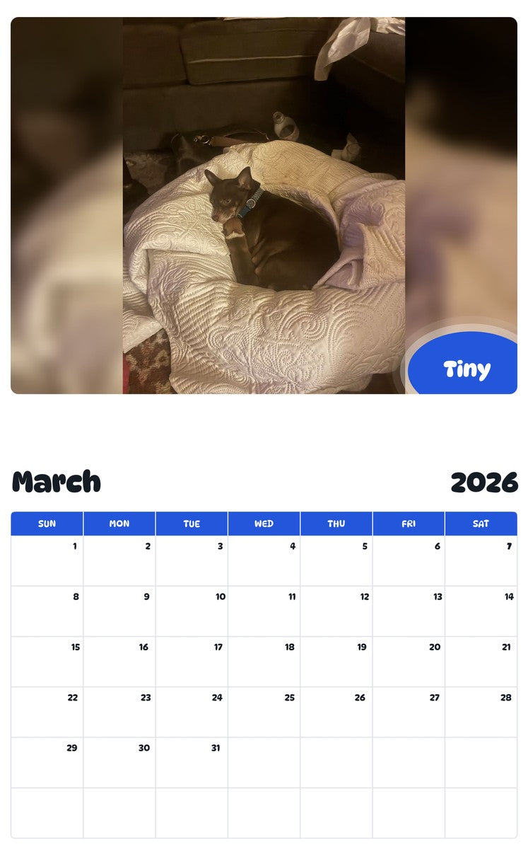 November 2025 - October 2026 Tiny - Pawidols Pet Calendar