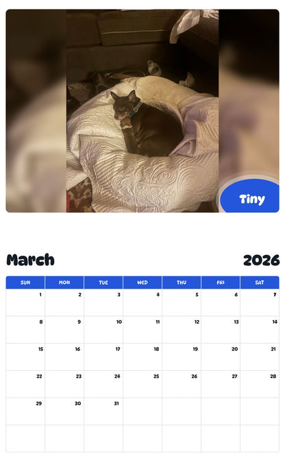 November 2025 - October 2026 Tiny - Pawidols Pet Calendar