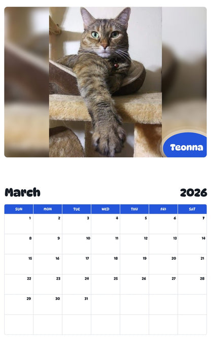 November 2025 - October 2026 Teonna - Pawidols Pet Calendar