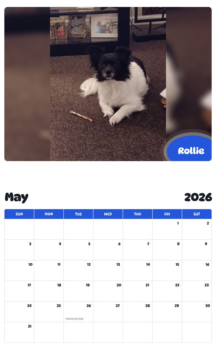 2026 - 2027 Rollie - Pawidols Pet Calendar