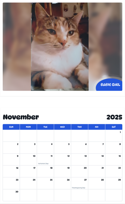 July 2025 - June 2026 Babie girl - Pawidols Pet Calendar