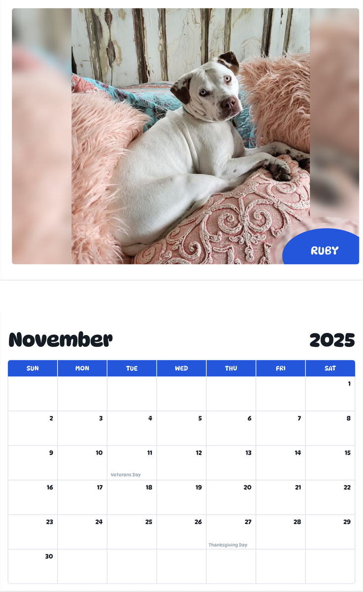 July 2025 - June 2026 Ruby - Pawidols Pet Calendar