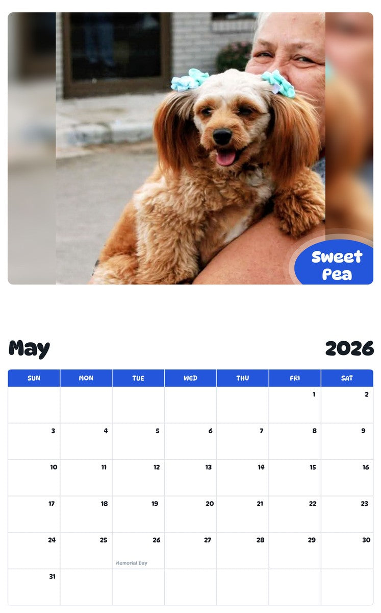 2026 - 2027 Sweet Pea - Pawidols Pet Calendar