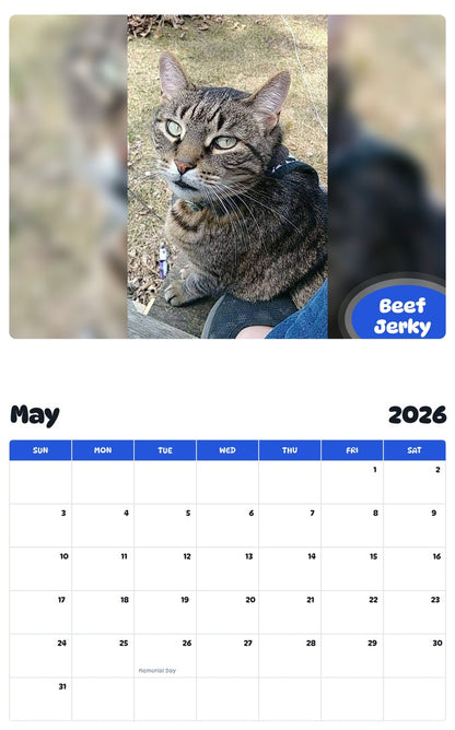 2026 - 2027 Beef Jerky - Pawidols Pet Calendar