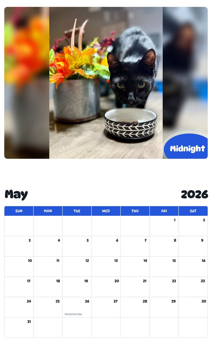 2026 - 2027 Midnight - Pawidols Pet Calendar