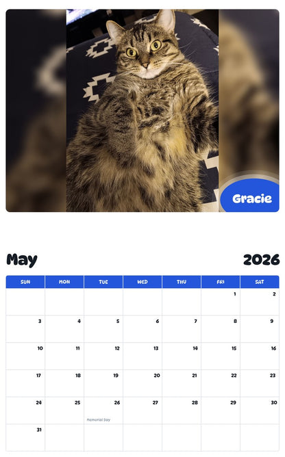 2026 - 2027 Gracie - Pawidols Pet Calendar