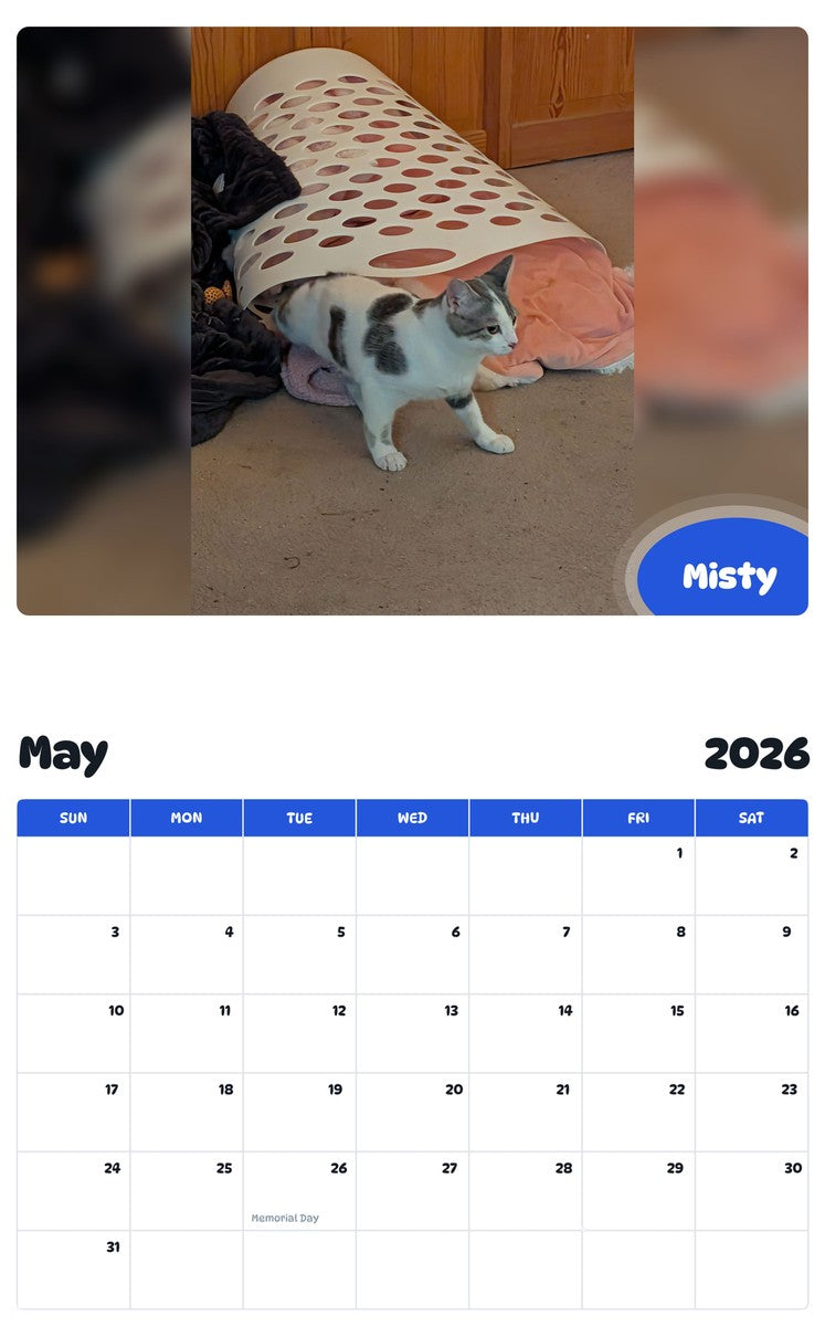 2026 - 2027 Misty - Pawidols Pet Calendar