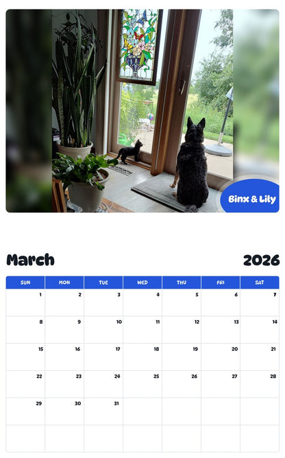 November 2025 - October 2026 Binx & Lily - Pawidols Pet Calendar