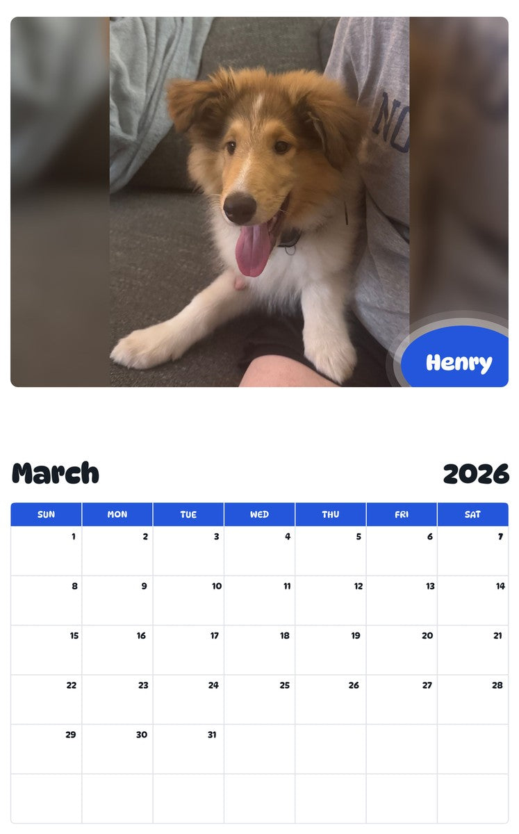 November 2025 - October 2026 Henry - Pawidols Pet Calendar