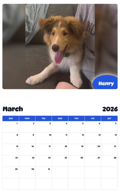 November 2025 - October 2026 Henry - Pawidols Pet Calendar