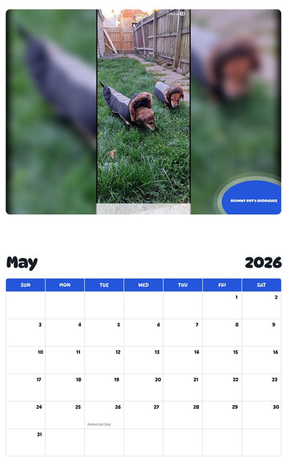 2026 - 2027 BROWNY BOY's RODRIGUEZ - Pawidols Pet Calendar