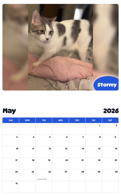 2026 - 2027 Stormy - Pawidols Pet Calendar