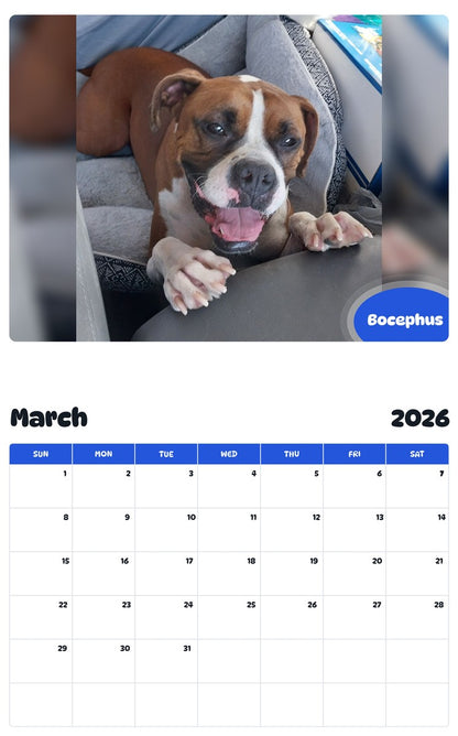 November 2025 - October 2026 Bocephus - Pawidols Pet Calendar
