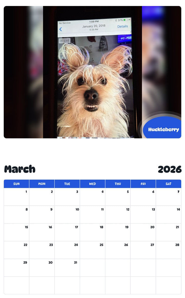 November 2025 - October 2026 Huckleberry - Pawidols Pet Calendar