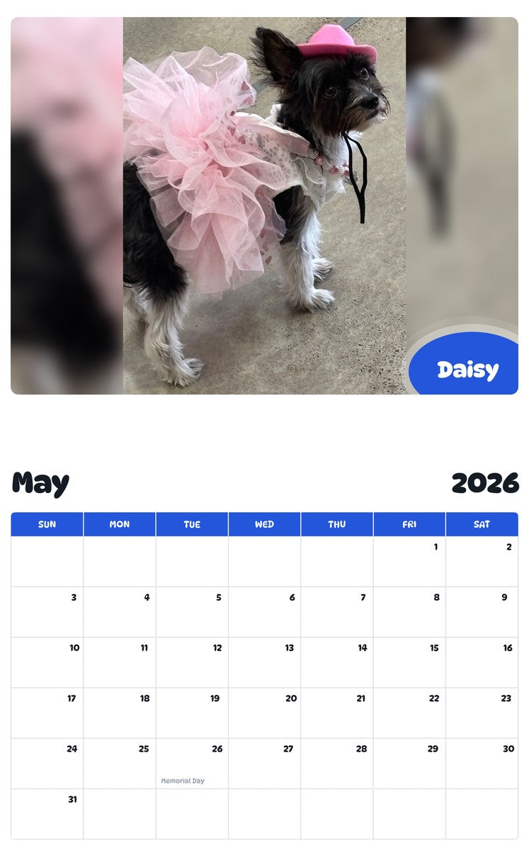 2026 - 2027 Daisy - Pawidols Pet Calendar
