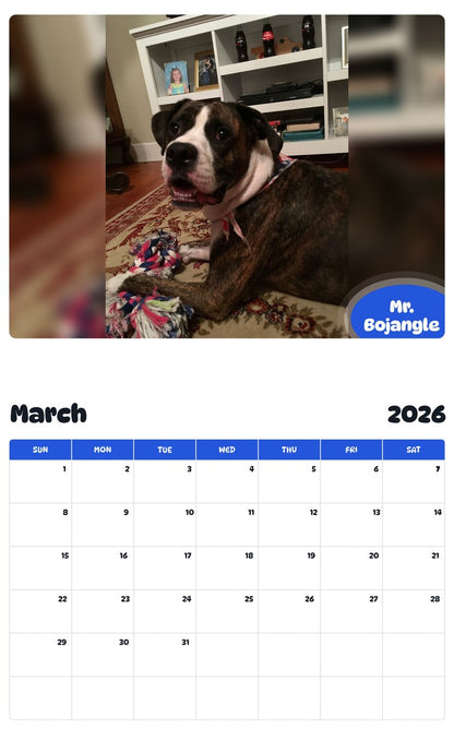 November 2025 - October 2026 Mr. Bojangle - Pawidols Pet Calendar