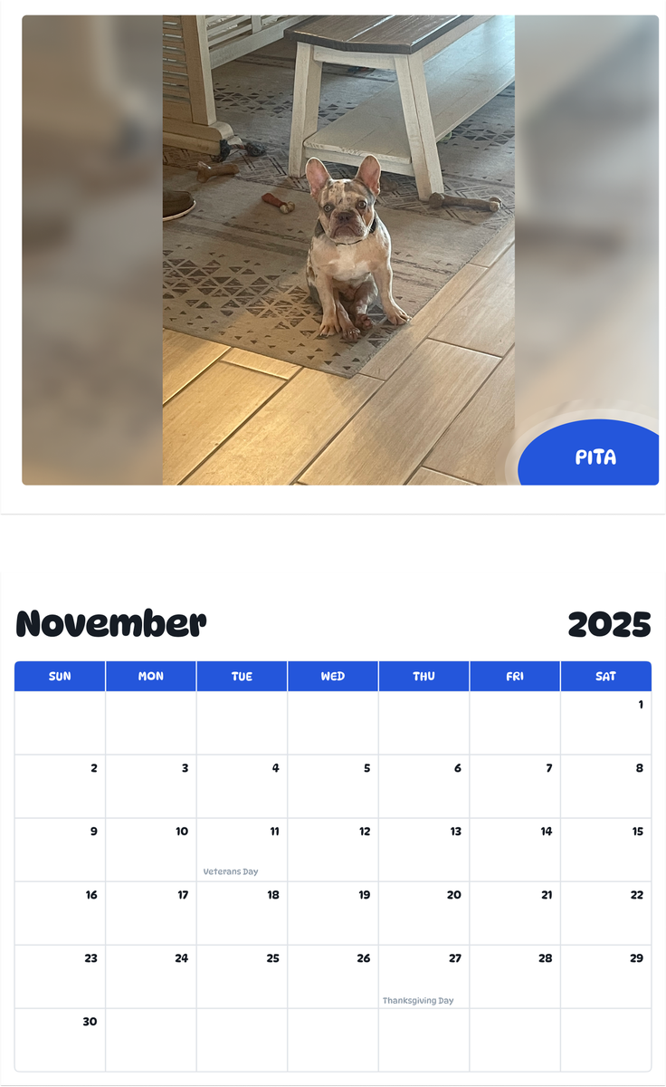 July 2025 - June 2026 Pita - Pawidols Pet Calendar