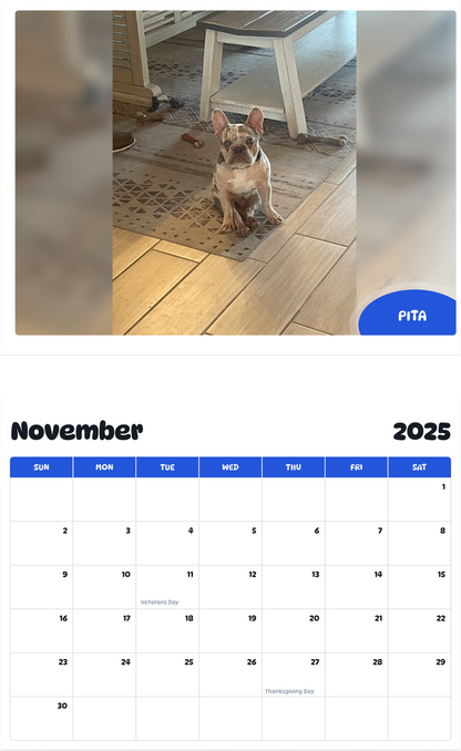 July 2025 - June 2026 Pita - Pawidols Pet Calendar