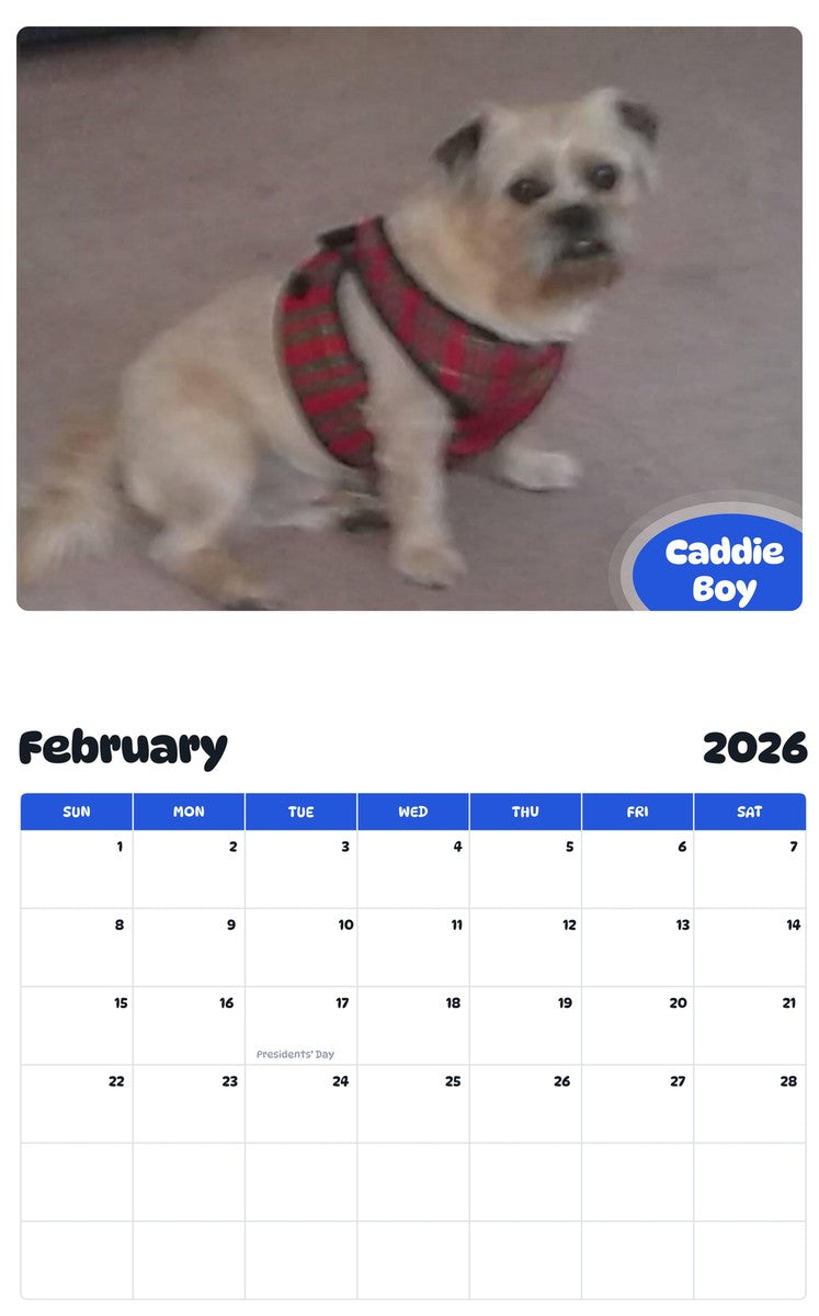 October 2025 - September 2026 Caddie Boy - Pawidols Pet Calendar