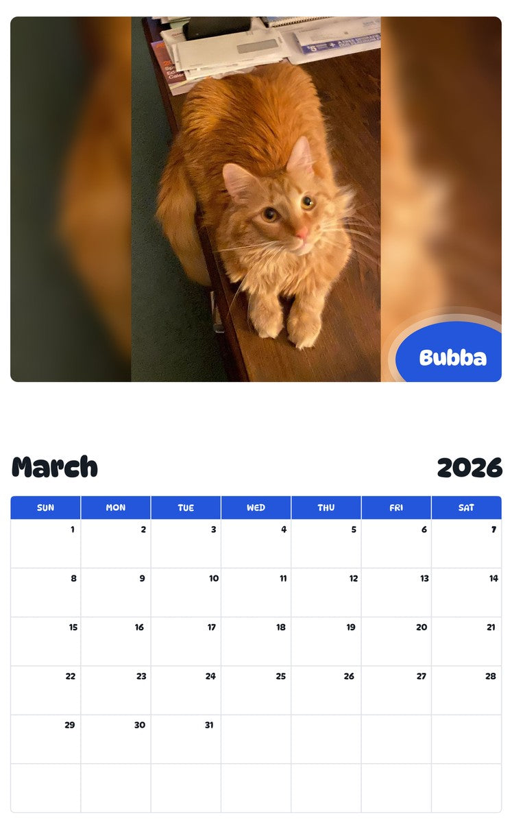 November 2025 - October 2026 Bubba - Pawidols Pet Calendar