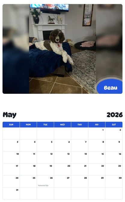 2026 - 2027 Beau - Pawidols Pet Calendar