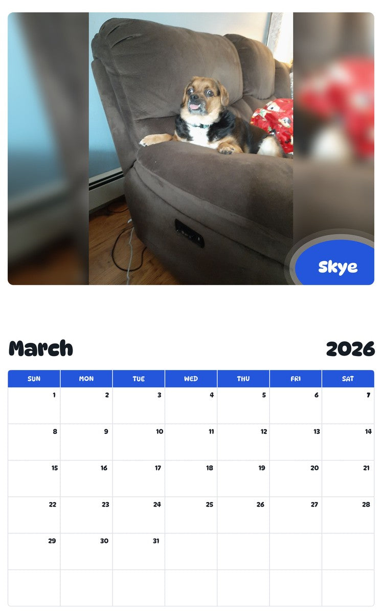 November 2025 - October 2026 Skye - Pawidols Pet Calendar