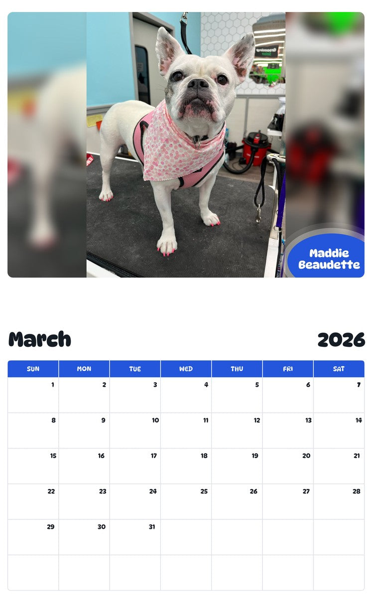 November 2025 - October 2026 Maddie Beaudette - Pawidols Pet Calendar