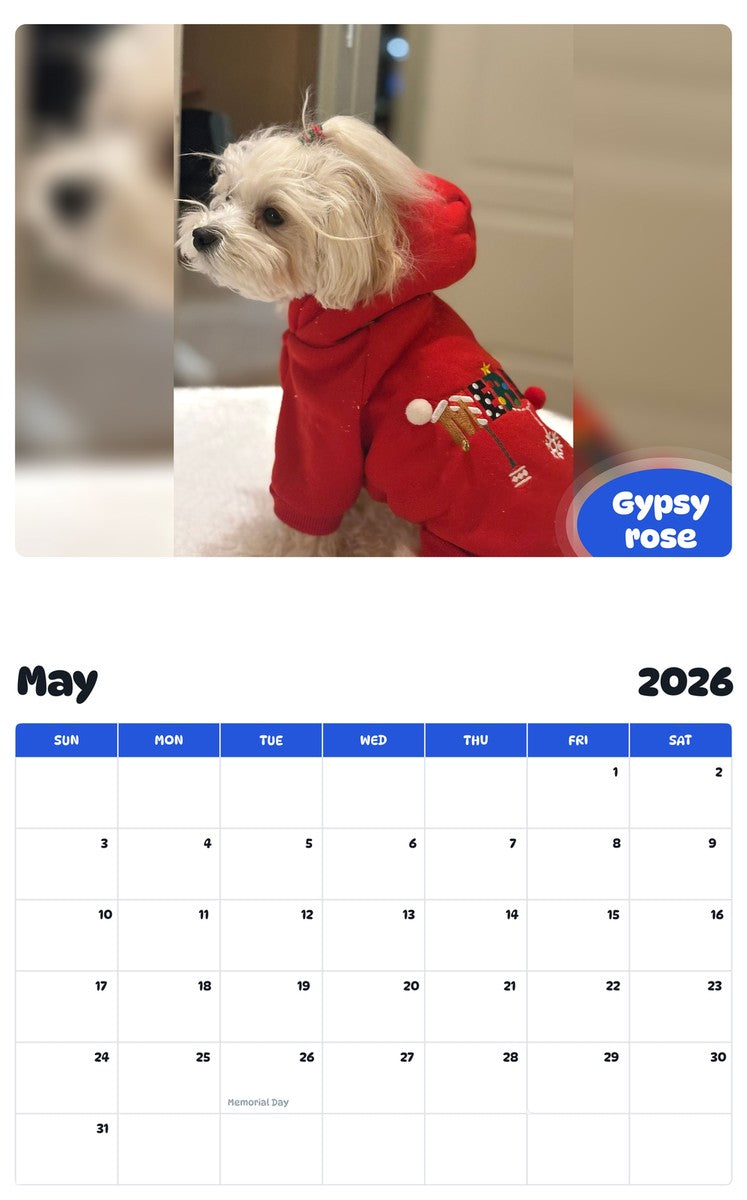2026 - 2027 Gypsy rose - Pawidols Pet Calendar