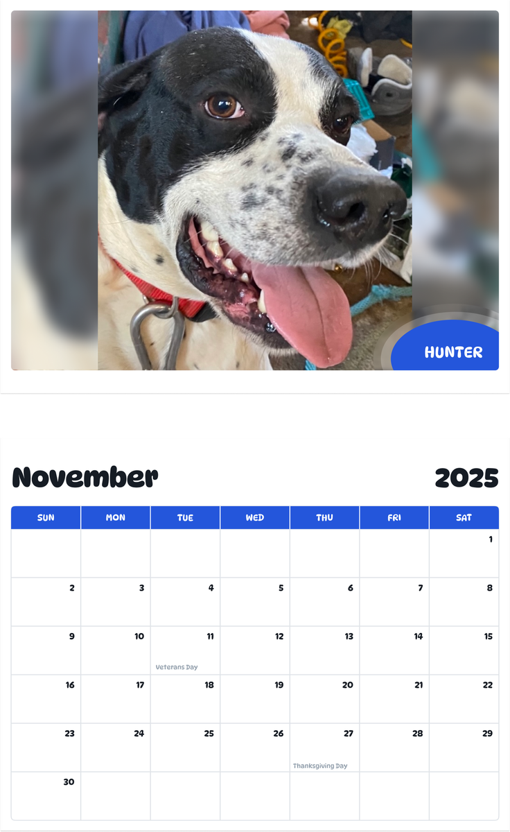 July 2025 - June 2026 Hunter - Pawidols Pet Calendar