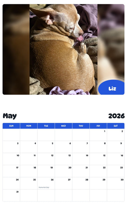 2026 - 2027 Liz - Pawidols Pet Calendar