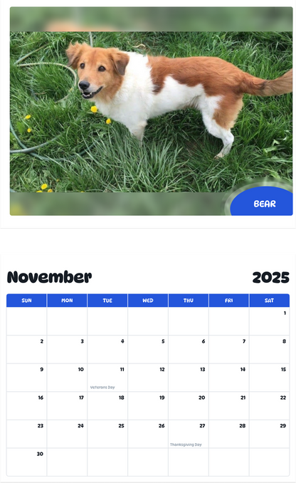 July 2025 - June 2026 Bear - Pawidols Pet Calendar